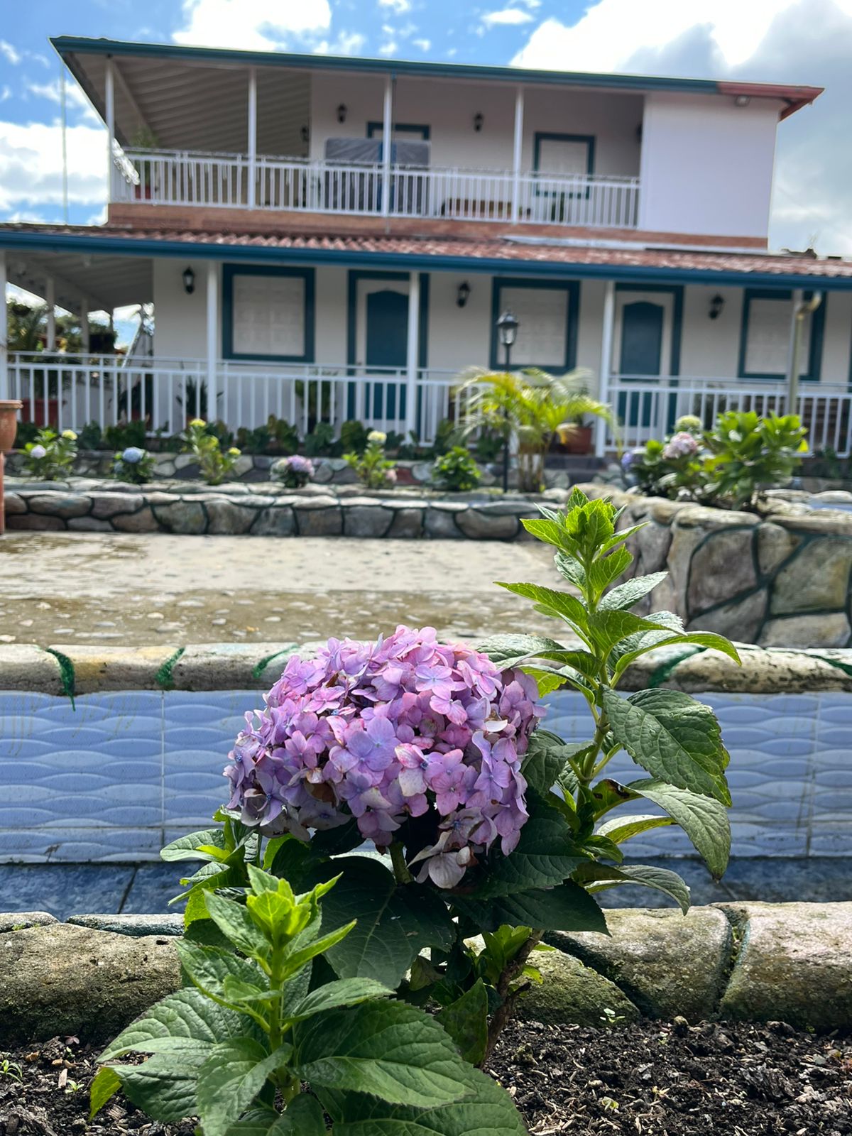 Flores y zona trasera del hotel